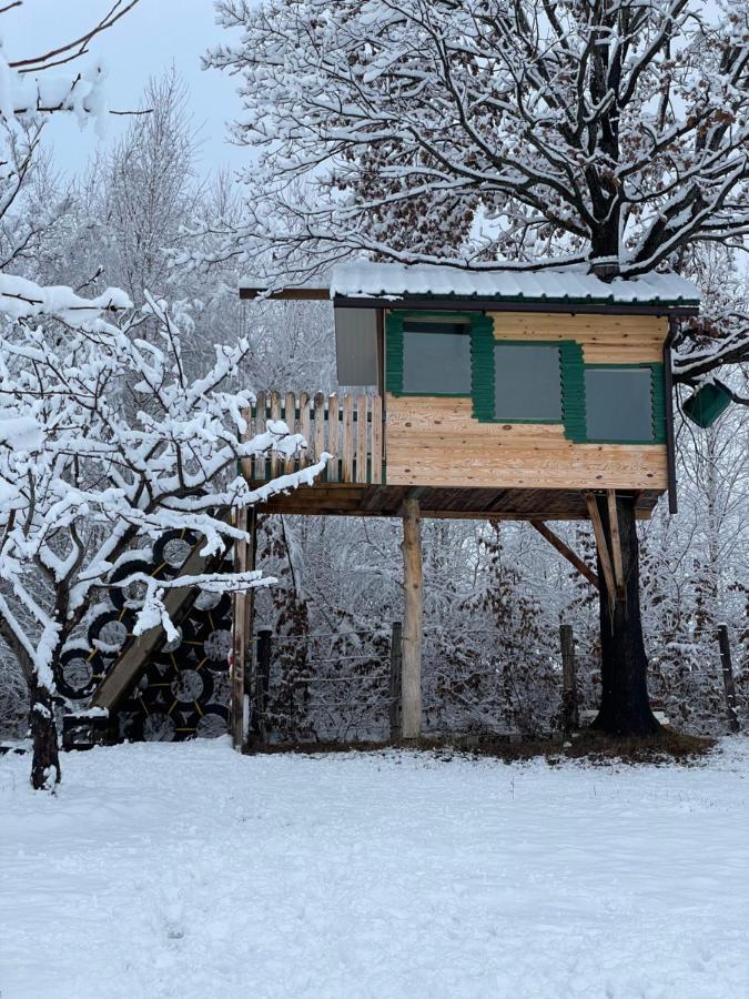 Langaland Glamping 호텔 Susenii Birgaului 외부 사진