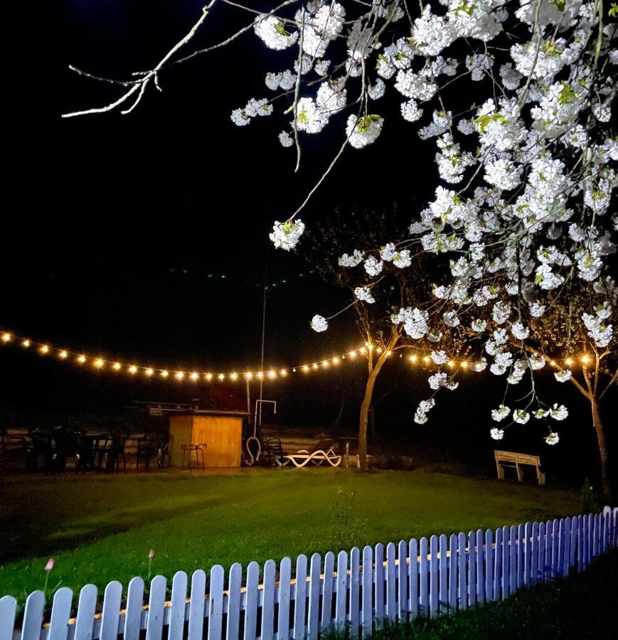 Langaland Glamping 호텔 Susenii Birgaului 외부 사진