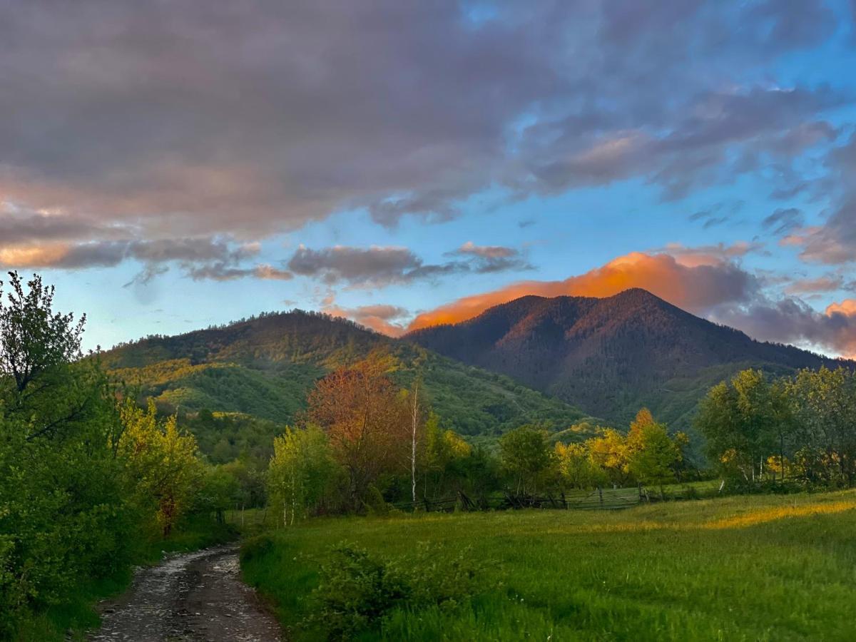Langaland Glamping 호텔 Susenii Birgaului 외부 사진