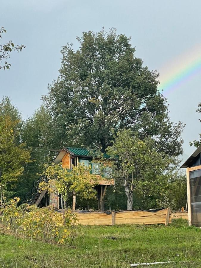 Langaland Glamping 호텔 Susenii Birgaului 외부 사진