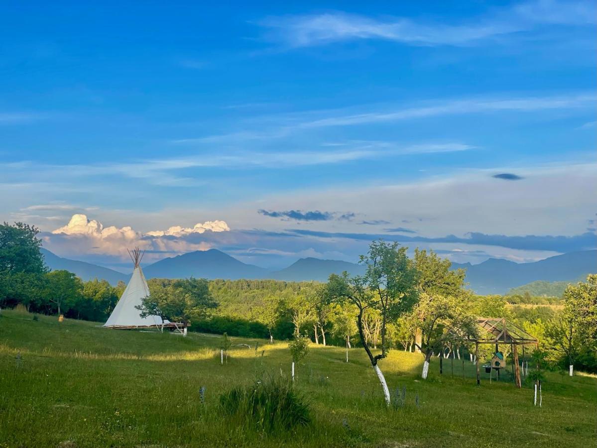 Langaland Glamping 호텔 Susenii Birgaului 외부 사진