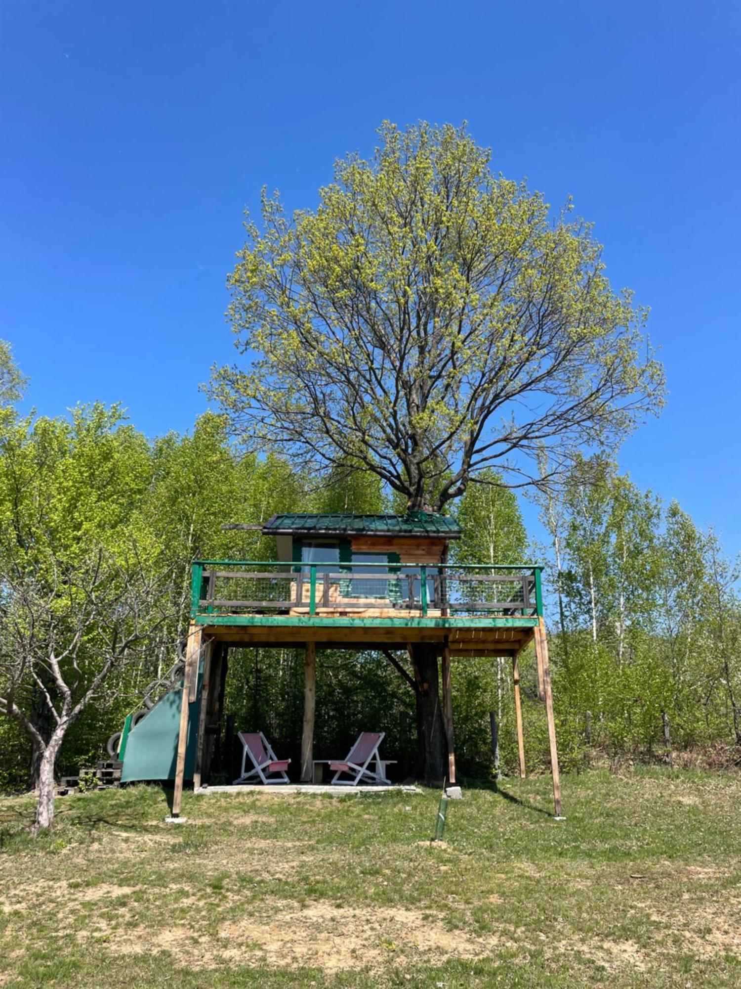 Langaland Glamping 호텔 Susenii Birgaului 외부 사진