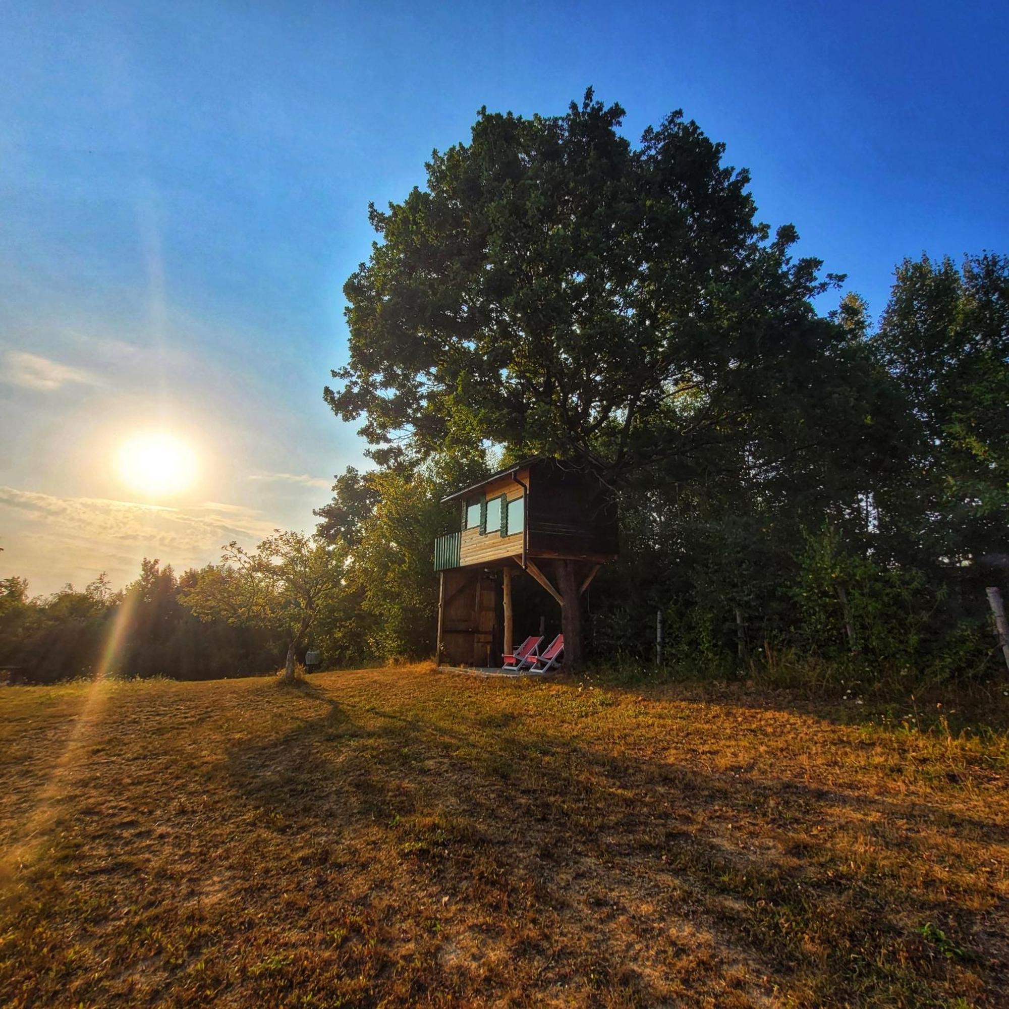 Langaland Glamping 호텔 Susenii Birgaului 외부 사진